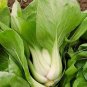 Pak Choi White Stem (Brasica rapa var chinensis) 1 gram Seeds for Planting