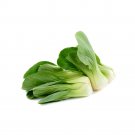 Frilly Leaf Pak Choi Fun Jen, Hybrid (Brassica rapa var chinensis) 500mg Seeds for Planting Frilly Leaf Pak Choi Fun Jen, Hybrid (Brassica rapa var chinensis) 500mg Seeds for Planting