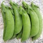 Pea Edible Pod Sugar Snap 1/4oz Seeds for Planting