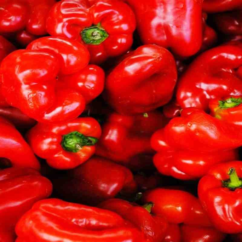 Yolo Wonder Improved Sweet Bell Pepper 300mg Seeds for planting