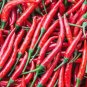 Pepper Hot Cayenne Long Red Slim Pepper 300mg Seeds for planting