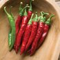 Pepper Hot Cayenne Long Red Slim Pepper 300mg Seeds for planting