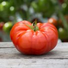 Sweet Tomato Beefsteak (Lycopersicon esculentum) 100mg Seeds for planting Sweet Tomato Beefsteak (Lycopersicon esculentum) 100mg Seeds for planting