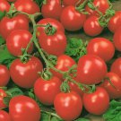 Cherry Tomato (Solanum lycopersicum 'Red Cherry') 100mg Seeds for planting Cherry Tomato (Solanum lycopersicum 'Red Cherry') 100mg Seeds for planting