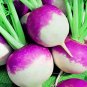 Turnip Purple Top White Globe (Brassica rapa. var rapa) 1 gram Seeds for planting