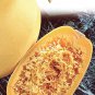 Vegetable Spaghetti Winter Squash (Cucurbita pepo) 1 gram Seeds for planting