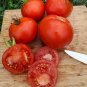 Tomato VR Moscow (Determinate) 100mg Seeds for Planting