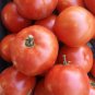 Tomato VR Moscow (Determinate) 100mg Seeds for Planting