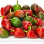 SWEET CHERRY PEPPER 250mg Seeds for planting