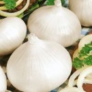 WHITE SPANISH ONION Allium cepa 'White Sweet Spanish' 100 seeds for planting