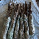 2 Cuttings Douglas Pear Tree . Pear Trees. 2 Cuttings Douglas Pear Tree . Pear Trees.
