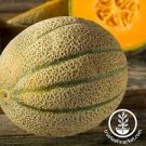 TUSCANY MELON SEEDS Cucumis melo 50 Seeds for Planting