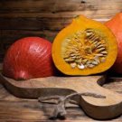 GOLDEN HUBBARD WINTER SQUASH SEEDS Cucurbita maxima 40 Seeds for Planting