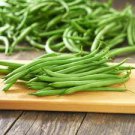 ORGANIC BLUE LAKE GREEN BUSH BEAN SEEDS Phaseolus vulgaris 50  Seeds for Planting