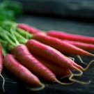 ORGANIC ATOMIC RED CARROT SEEDS Daucus carota 500 Atomic Red Carrot Seeds for Planting ORGANIC ATOMIC RED CARROT SEEDS Daucus carota 500 Atomic Red Carrot Seeds for Planting