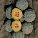 ORGANIC HEARTS OF GOLD MELON SEEDS Cucumis melo 25  Seeds for Planting