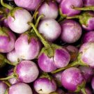 ORGANIC ROSA BIANICA EGGPLANT SEEDS Solanum melongena 50  Seeds for Planting
