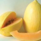 ORGANIC CRENSHAW MELON SEEDS Cucumis melo 25 Crenshaw Melon Seeds for Planting