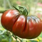 ORGANIC BLACK KRIM HEIRLOOM TOMATO SEEDS Lycopersicon esculentum  25 Seeds for Planting