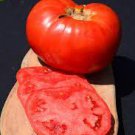 ORGANIC RED BRANDYWINE HEIRLOOM TOMATO SEEDS Lycopersicon esculentum 25  Seeds for Planting