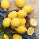 Meyer Lemon Seeds (10) / Organic Citrus / Fruit Seeds / FLORIDA GROWN Meyer Lemon Seeds (10) / Organic Citrus / Fruit Seeds / FLORIDA GROWN