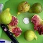 Fig tree Cuttings ,Col de Dame Grise , healthy, delicious,hardy,5 pieces !