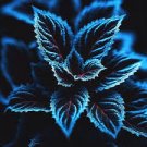 20 Coleus seeds Rare color Blue Black Green flower plant lawn