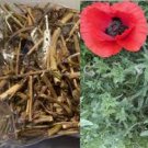 2 OZ California Poppy Dried Herb, or Eschscholzia californica Dried Herb 2 OZ California Poppy Dried Herb, or Eschscholzia californica Dried Herb