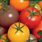 Rainbow Cherry Tomato Mix Seeds | NON-GMO | Heirloom | Fresh Vegetable Seeds
