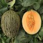 Piel de Sapo Melon Seeds | NON-GMO | Heirloom | Fresh Garden Seeds