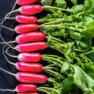 500+ De 18 Jours Radish Seeds | Fast-Growing French Heirloom Veg | Crisp Mild Root | Garden 500+ De 18 Jours Radish Seeds | Fast-Growing French Heirloom Veg | Crisp Mild Root | Garden