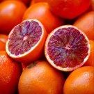 5+ Blood Orange Seeds – Grow Citrus sinensis Tree with Rich Red Fruit for Garden or Pots 5+ Blood Orange Seeds – Grow Citrus sinensis Tree with Rich Red Fruit for Garden or Pots
