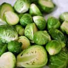 500+ Churchill Brussels Sprouts Seeds for Garden Planting – High-Yield Heirloom 500+ Churchill Brussels Sprouts Seeds for Garden Planting – High-Yield Heirloom