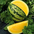 50+ Mountain Sweet Yellow Watermelon Seeds – Heirloom Sweet Yellow-Flesh Melon for Home Gardens 50+ Mountain Sweet Yellow Watermelon Seeds – Heirloom Sweet Yellow-Flesh Melon for Home Gardens