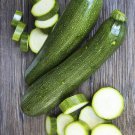 25+ Green Machine Zucchini Squash Seeds – High-Yield Summer Squash for Garden Planting