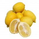 5+ Interdonato Messina Lemon Seeds – Rare Italian Citrus Fruit Tree for Garden Planting