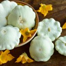 25+ Peter Pan Squash Seeds – Heirloom Scallop Summer Squash for Containers, Yards, and Gardens