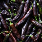 25+ Aji Panca Pepper Seeds – Mild Peruvian Chili for Garden Planting, Cooking & Salsas