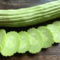 25+ Viper Cucumber Seeds &acirc;�� High Yield, Crisp Green Cucumbers for Garden Planting