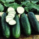 25+ Bush Crop Cucumber Seeds for Garden Planting – Compact Heirloom Variety 25+ Bush Crop Cucumber Seeds for Garden Planting – Compact Heirloom Variety