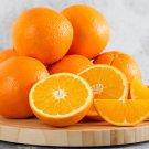 5+ Lima Orange Seeds – Citrus Fruit Seeds for Garden Planting, Indoor & Outdoor Growth 5+ Lima Orange Seeds – Citrus Fruit Seeds for Garden Planting, Indoor & Outdoor Growth