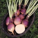 500+ Joan Rutabaga Seeds – Heirloom, Cold-Hardy Root Vegetable for Garden Planting 500+ Joan Rutabaga Seeds – Heirloom, Cold-Hardy Root Vegetable for Garden Planting