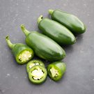 25+ Capitan F1 Hot Pepper Seeds | Spicy Vegetable Seeds | Garden & Container Planting