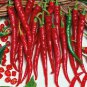 25+ Cayenne Long Red Thin Hot Pepper Seeds | Spicy Chili Plants | Garden & Container Planting