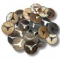 Cowhide Hair On Leather Coasters Pack of 50 and Pack of 100