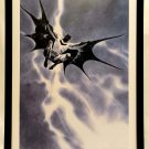 Batman Dark Knight by Jae Lee FRAMED 12x16 Art Print DC Comics Poster