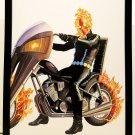 Ghost Rider Timeless by Alex Ross FRAMED 11x14 Art Print Marvel Comics Poster