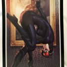 Catwoman Batman by Stanley Artgerm Lau FRAMED 12x16 Art Print DC Comics Poster