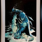 Batman Dark Knight by Rafael Albuquerque 11x14 FRAMED DC Comics Art Print Poster