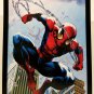 Ultimate Spider-Man by Mark Bagley 11x14 FRAMED Marvel Comics Art Print Poster